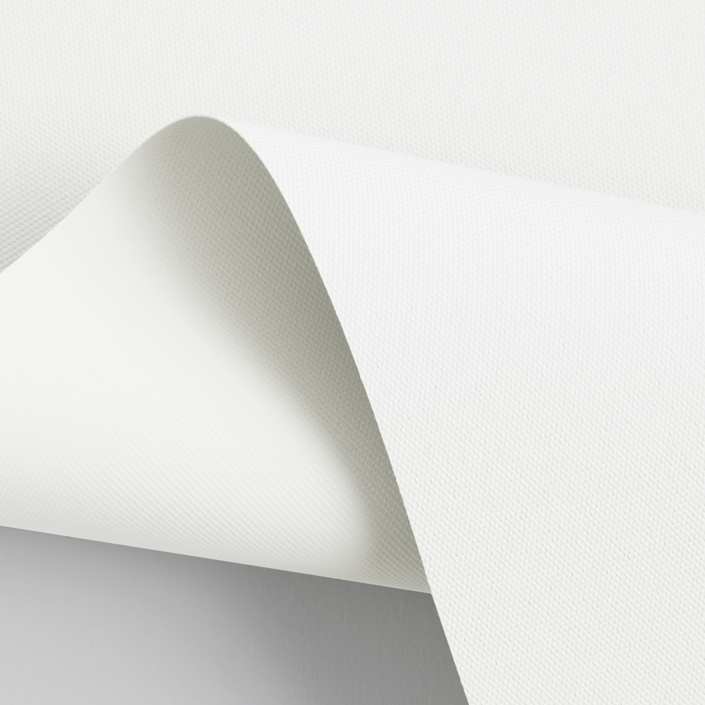 Parchment