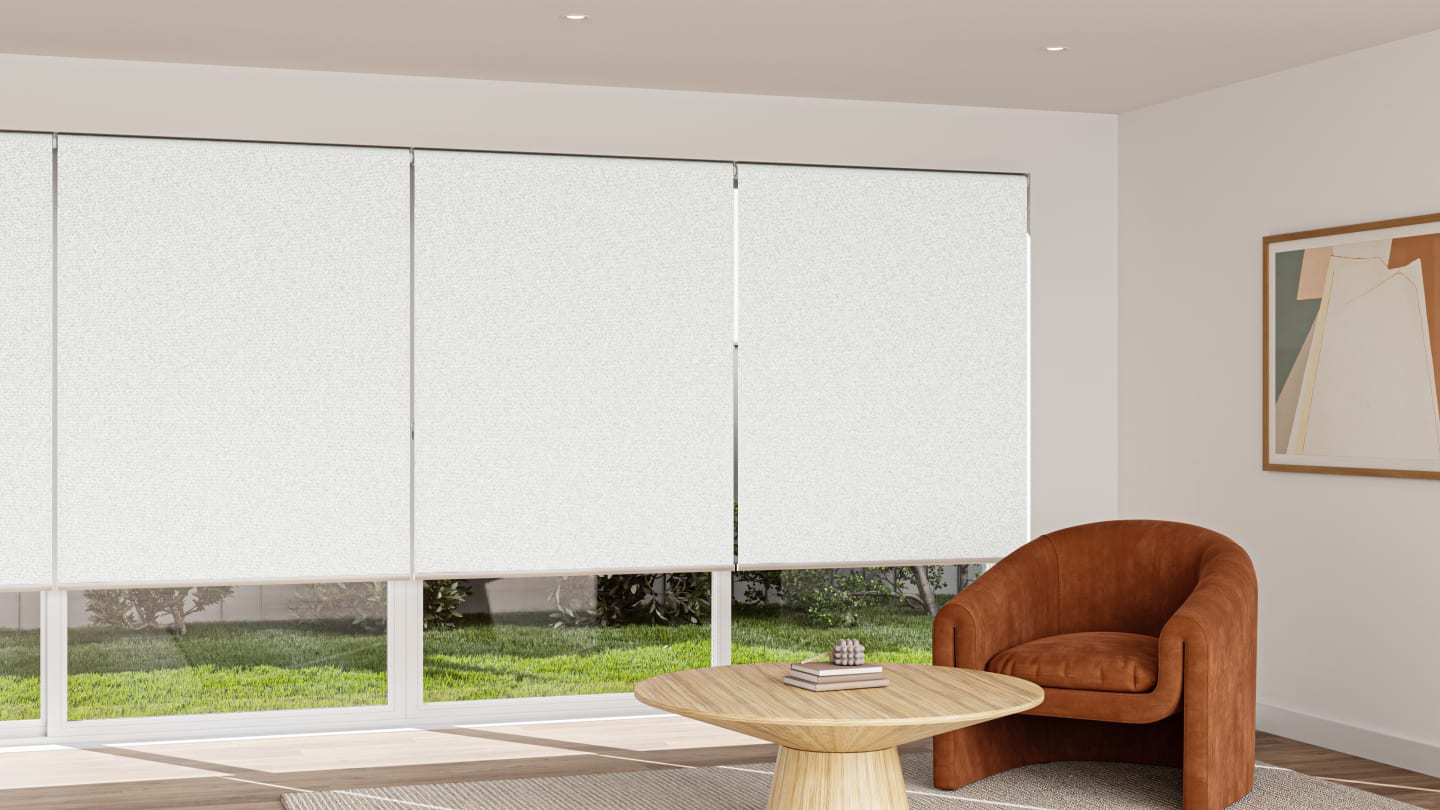 Dove White BO