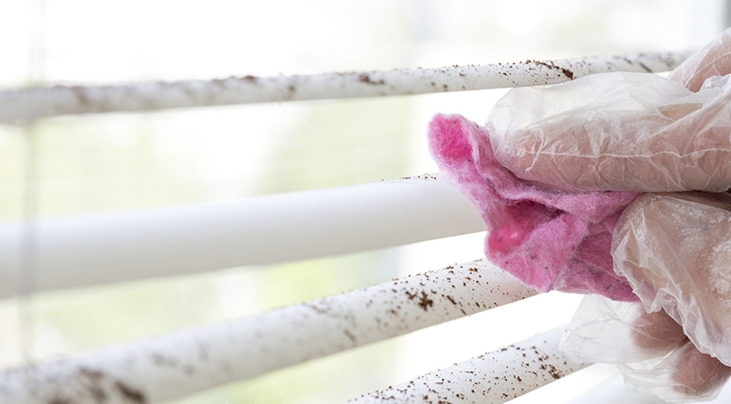 undefinedHandy Tips for Keeping Blinds Fresh and Clean