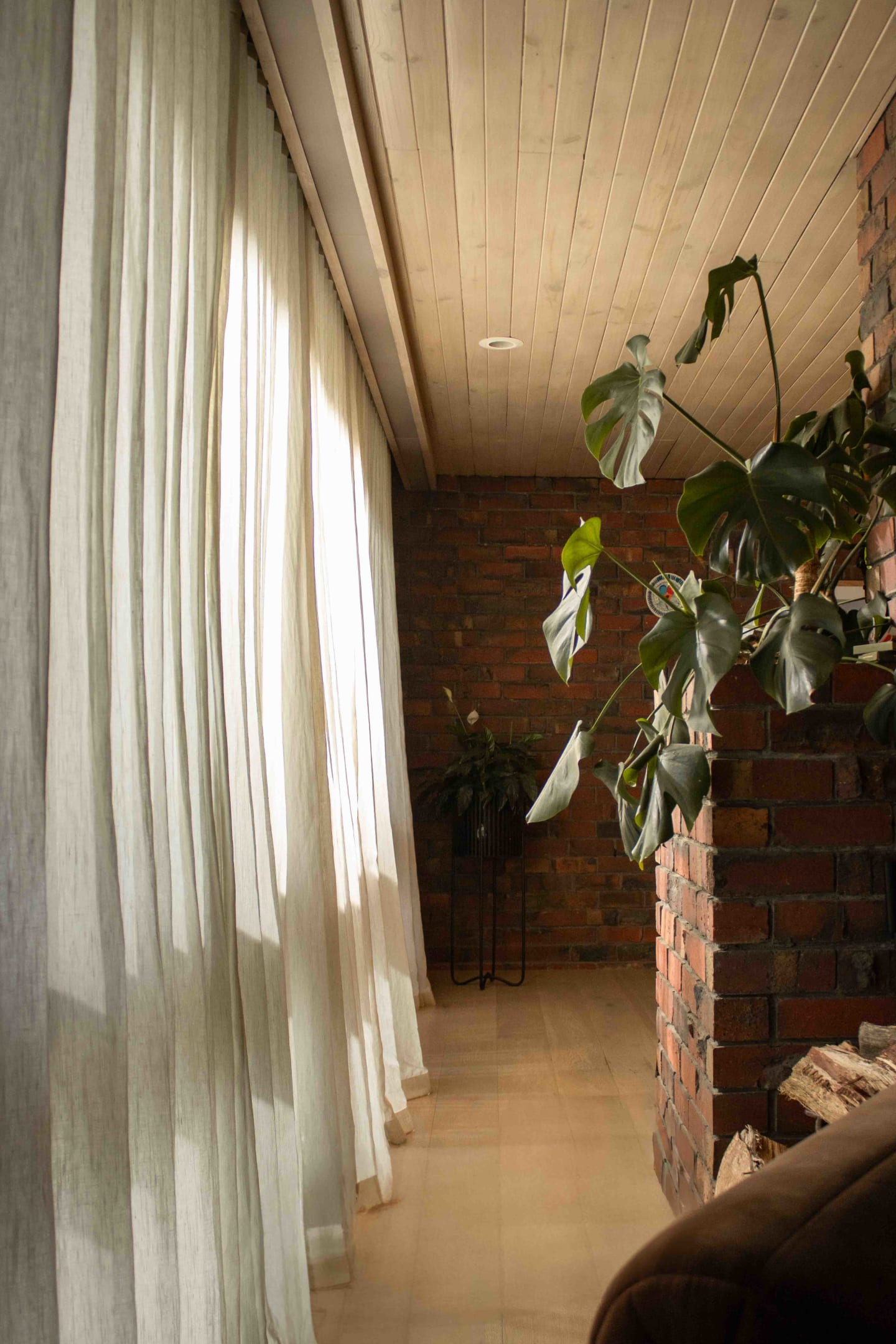 Light, Texture, and Connection