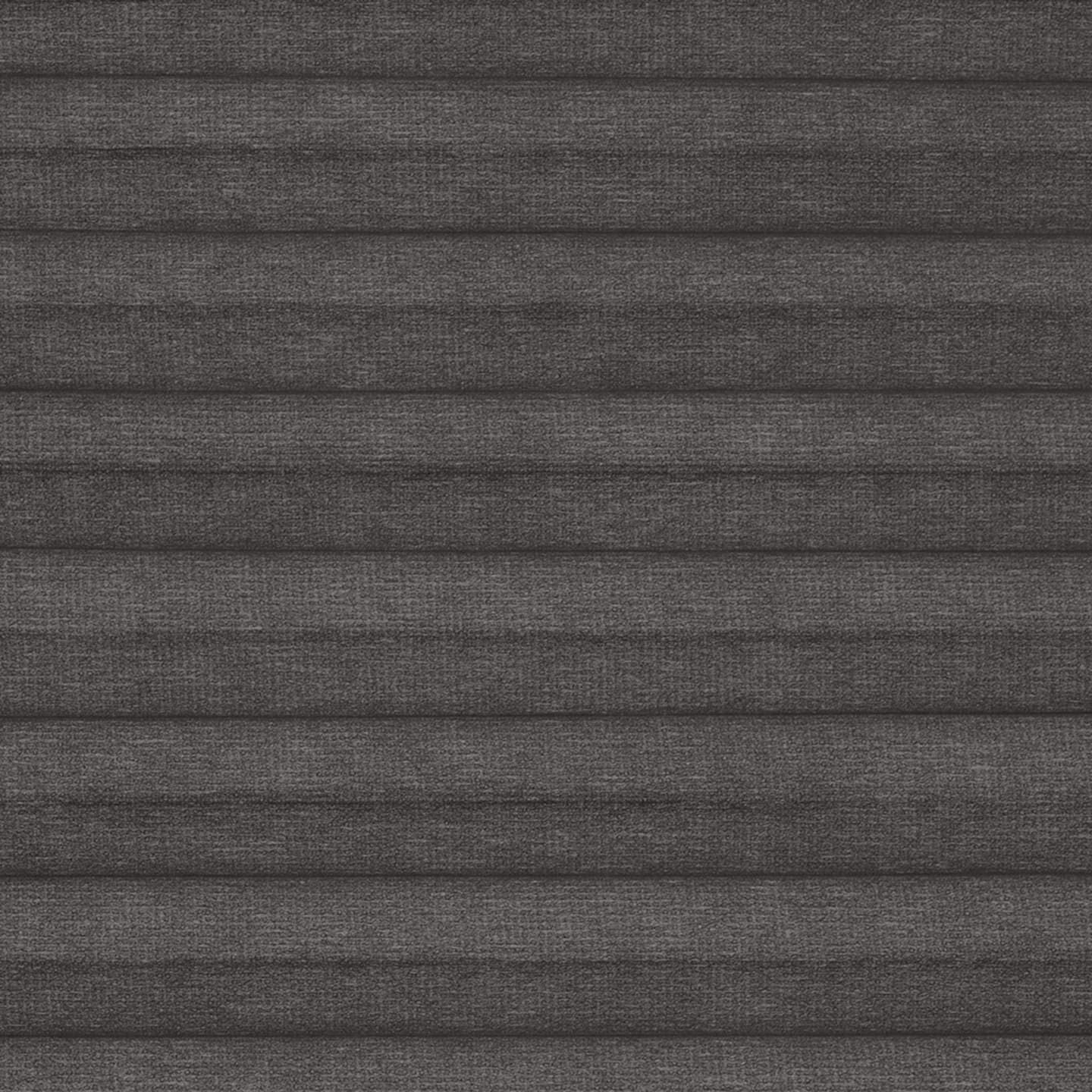 Coal