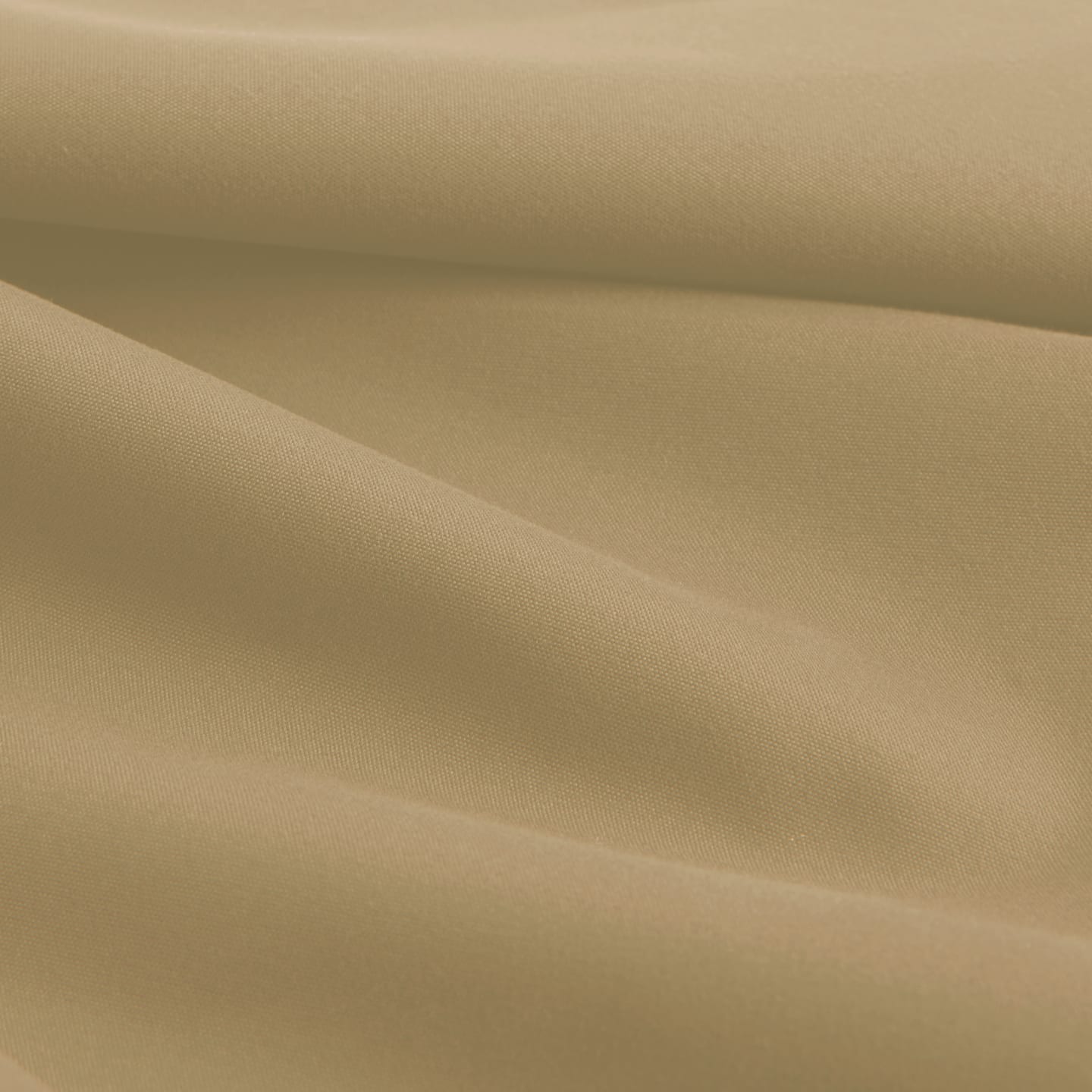 Dusty