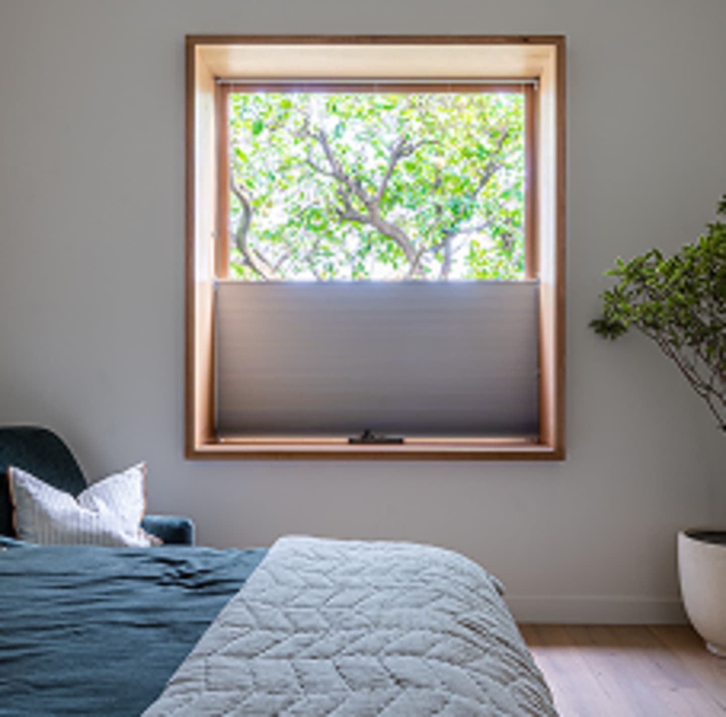 Honeycomb Blinds