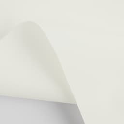 Dove White LF