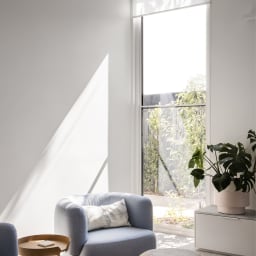 Dove White LF