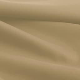 Dusty