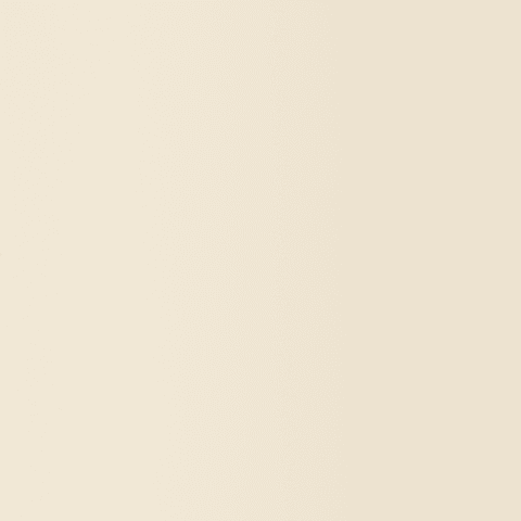 Raw Silk