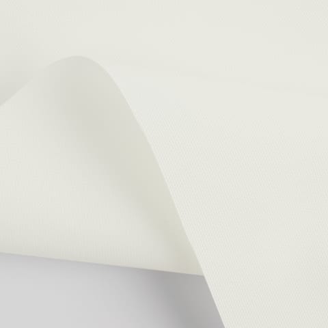 Dove White LF