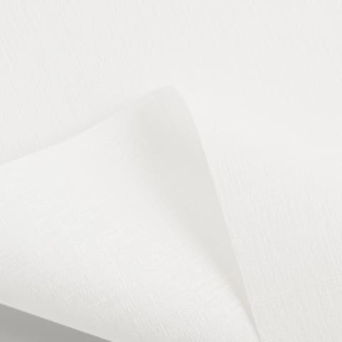 Plaster LF